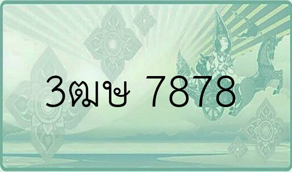 3ฒษ 7878
